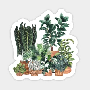 House Plants Illustration 7 Sticker